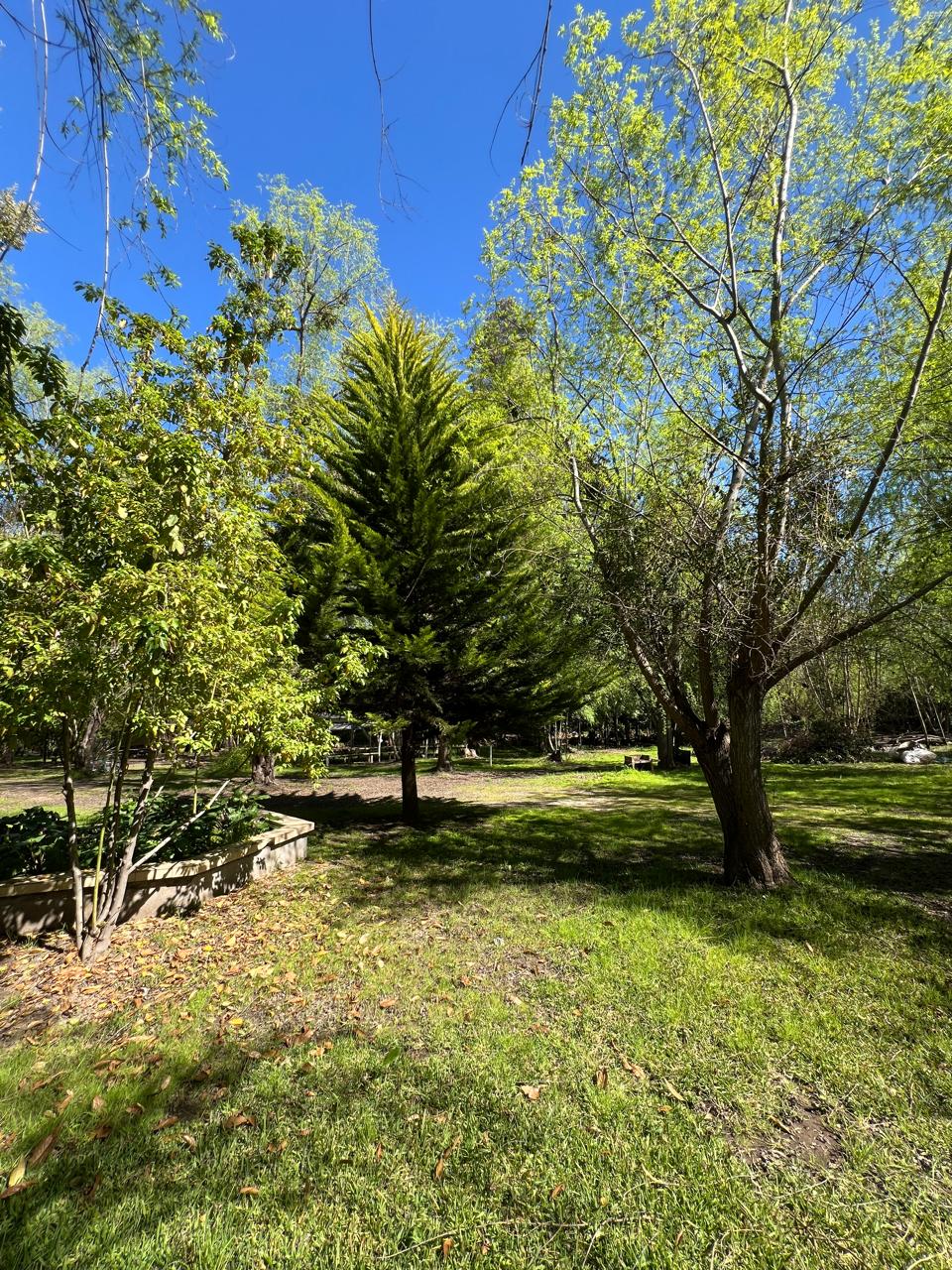Áreas verdes rodeadas de árboles