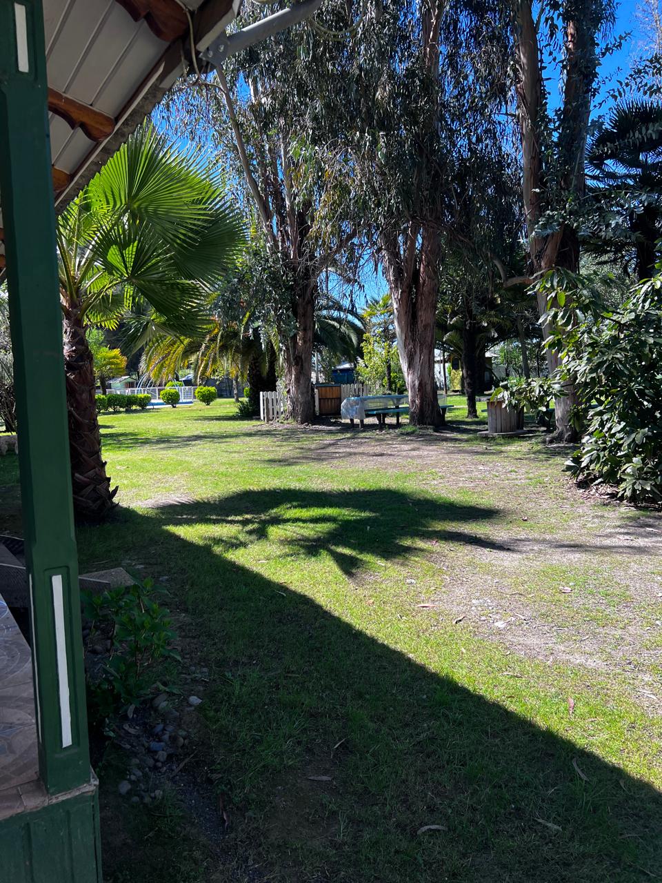 Vista hacia los jardines desde un espacio techado