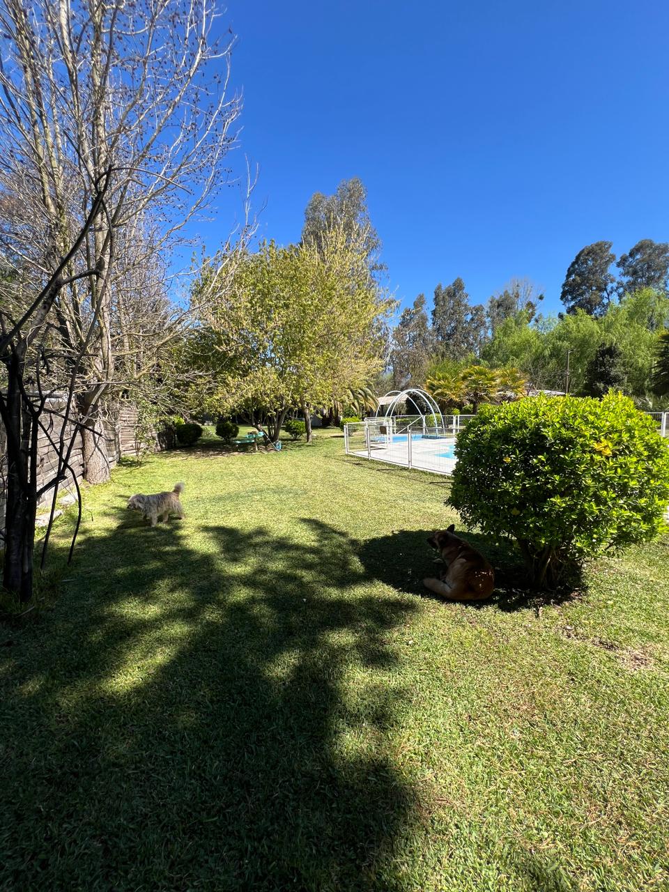 Vista del jardín junto al recinto de la piscina