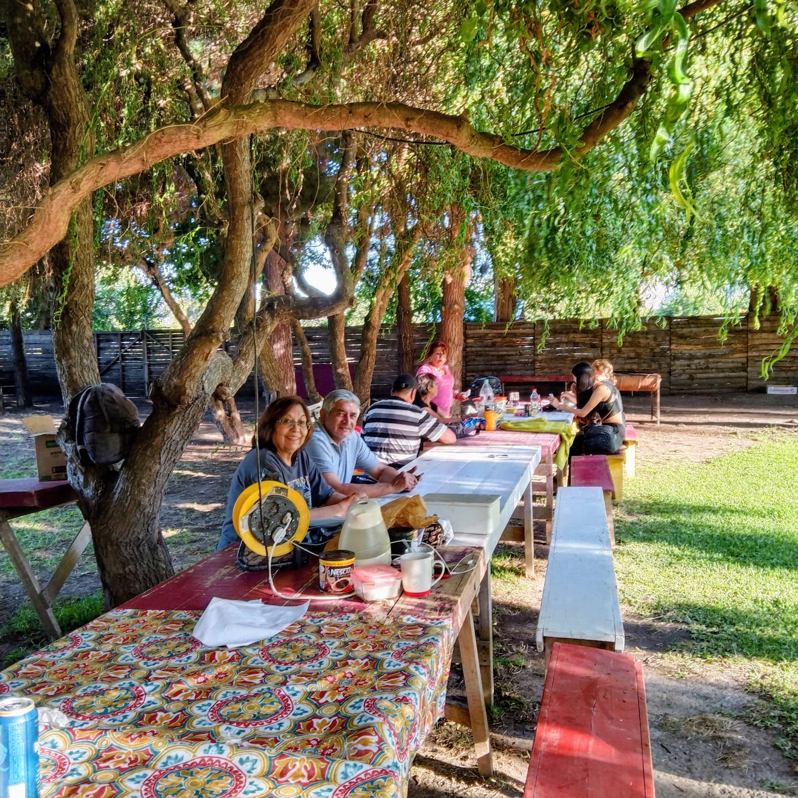 Grupo compartiendo alrededor de mesas bajo los árboles